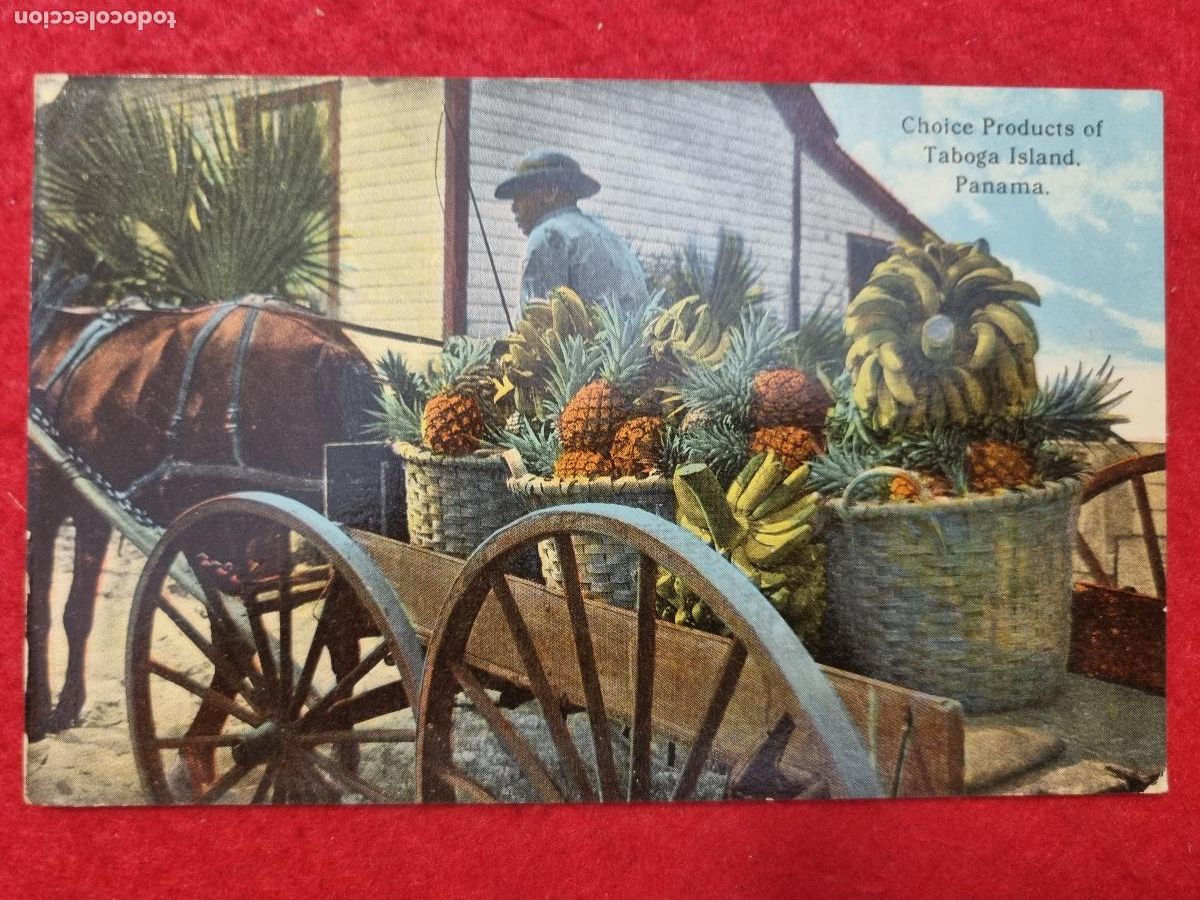 Postales: POSTAL PANAMA ISLA DE TABOGA CARRO DE FRUTAS COSTUMBRISTA ORIGINAL P2499