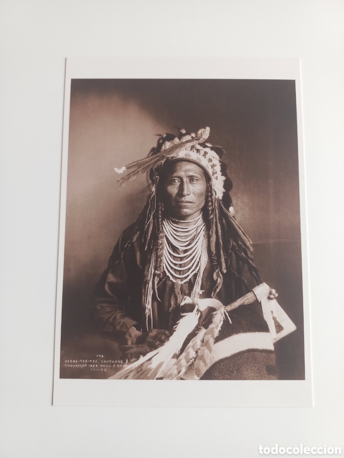 Postales: Postal 2005 Colorado Estados Unidos. Indio, a&ntilde;o 1899.