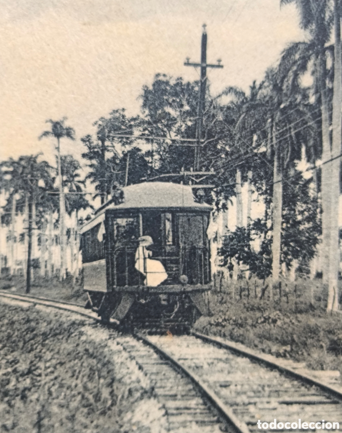 Postales: CUBA LA HABANA OLD POSTCARD TRAIN ON THE ROAD TO GUANAJAY TREN POSTAL C. 1900