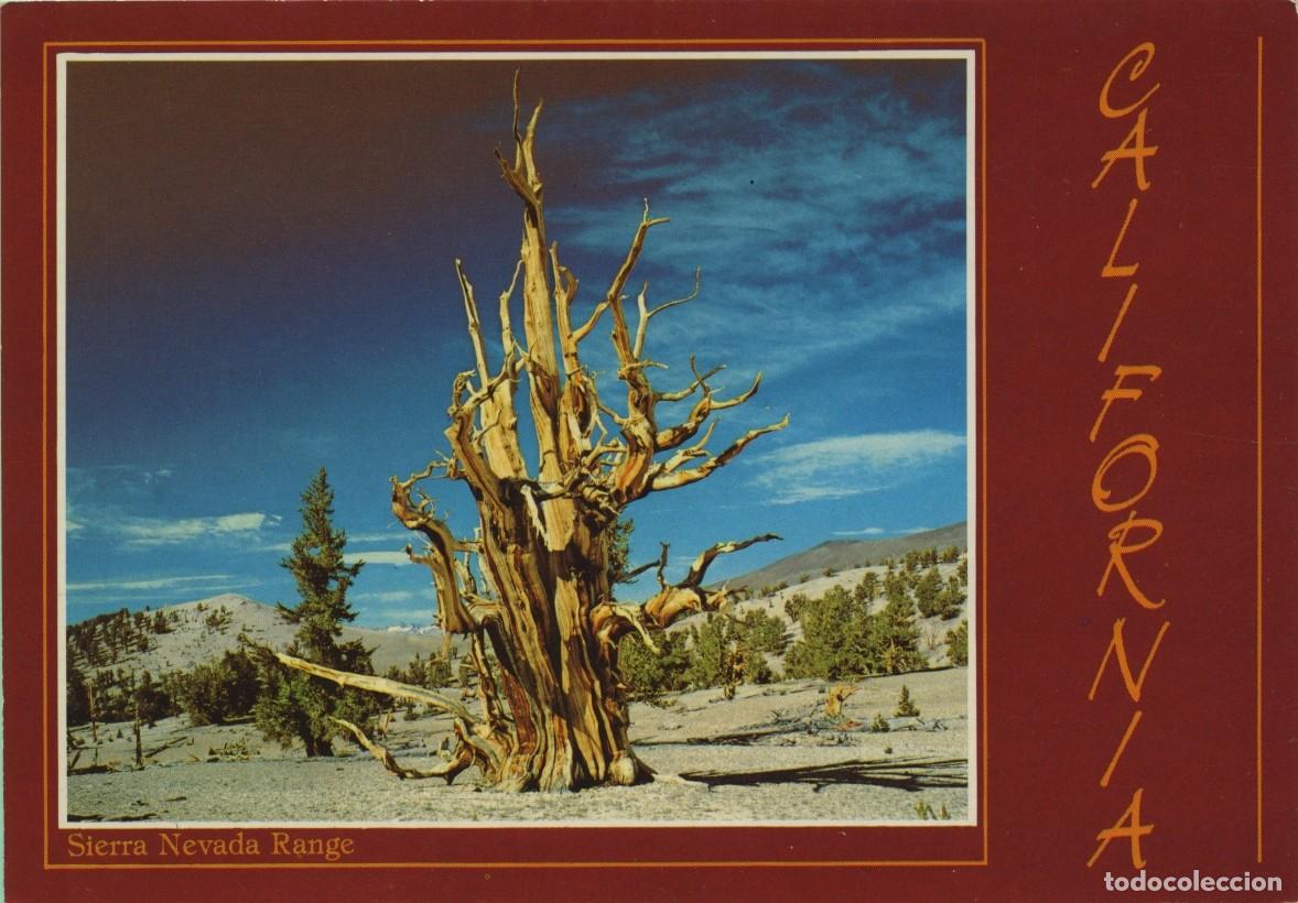Postales: N&ordm; 2CG87-B-CALIFORNIA. Sierra nevada Range. Sin circular. ED. JOHN HIDE