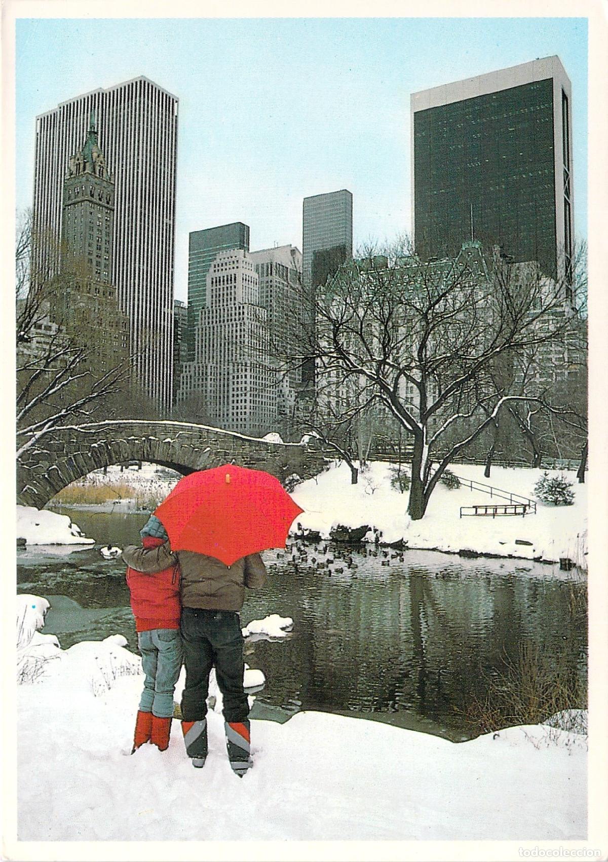 Postales: Postal de Central Park en Invierno Nueva York con Nieve y Rascacielos