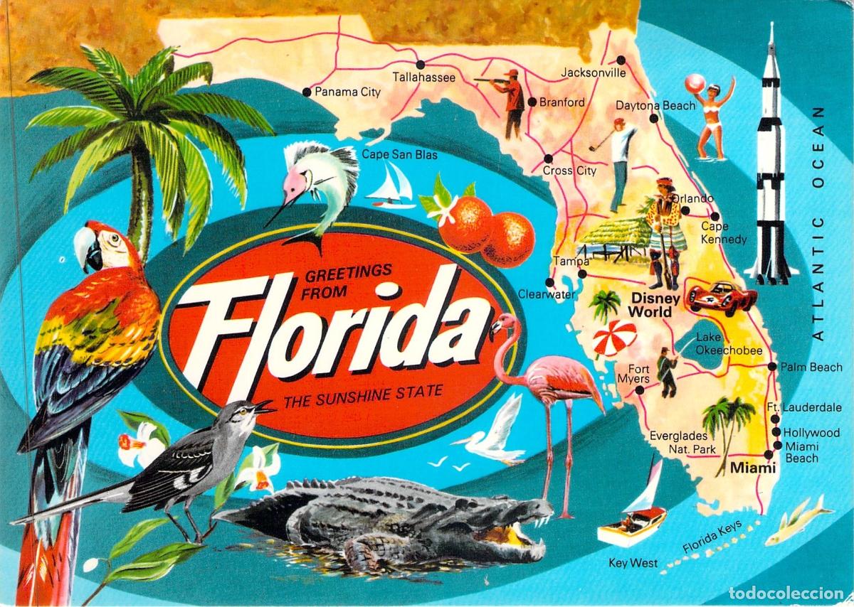 Postales: Postal de Mapa Tur&iacute;stico de Florida con Fauna y Lugares de Inter&eacute;s
