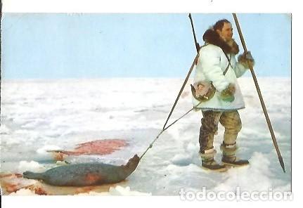 Postales: ANTIGUA POSTAL SEAL HUNT IN THE ARCTIC REGION ALASKA ANCHORAGE 1972