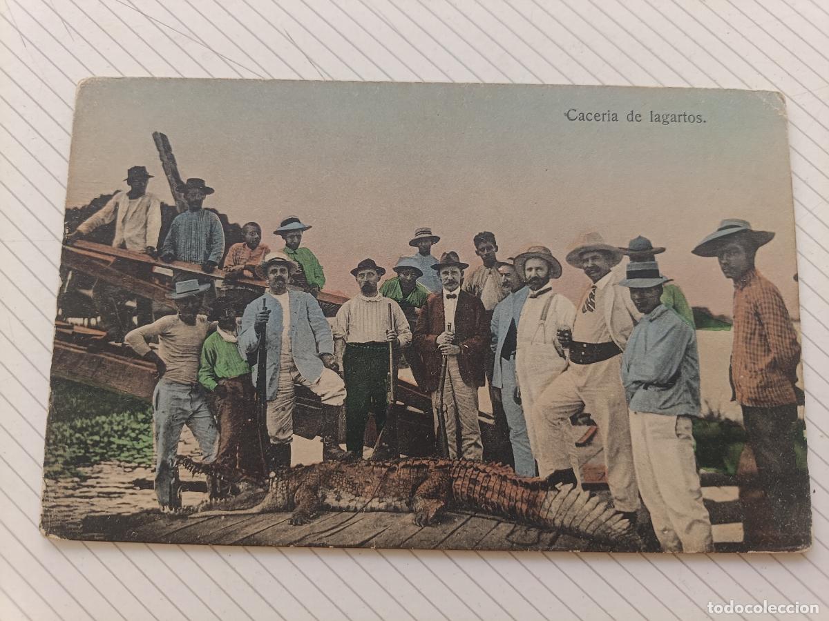 Postales: Editada en Guayaquil, Ecuador. Cacer&iacute;a de lagartos