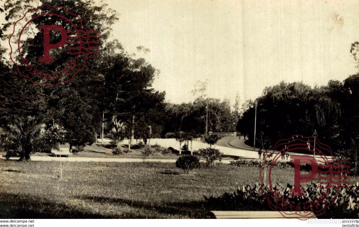 Postkarten: RPPC FOTOPOSTAL MONTEVIDEO PRADO URUGUAY