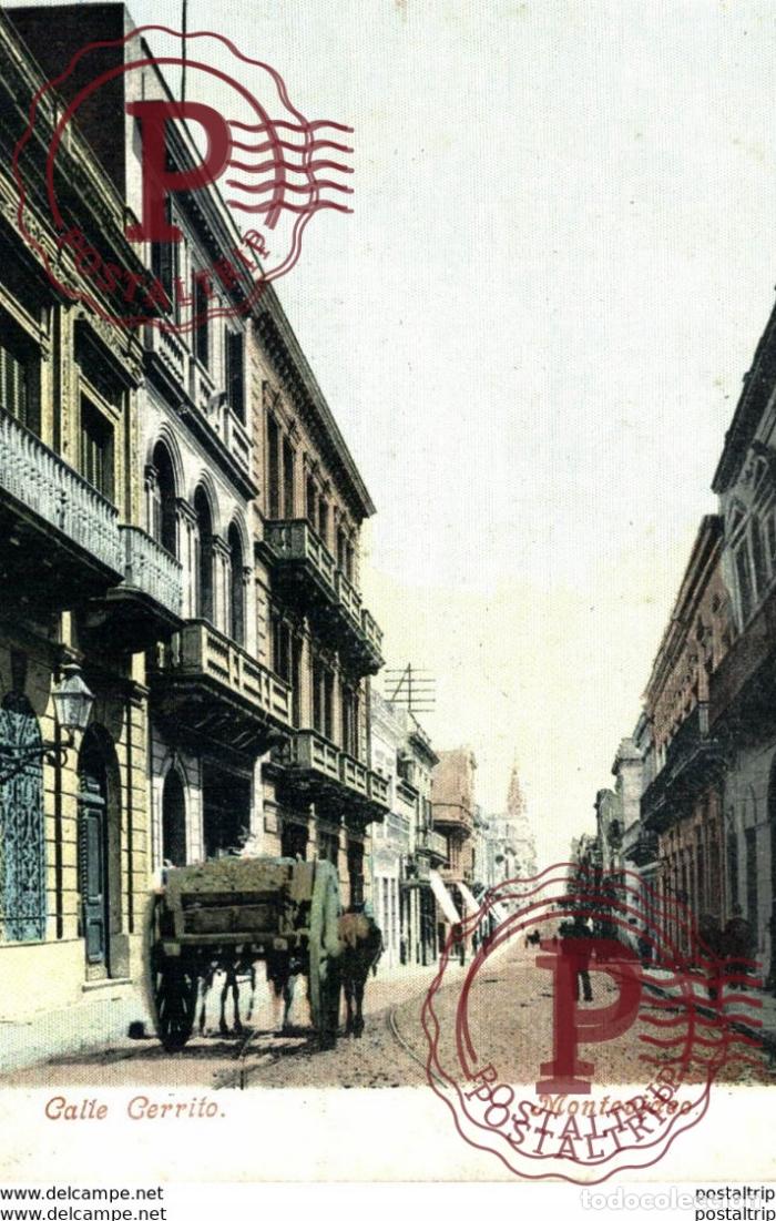 Postales: URUGUAY. MONTEVIDEO. CALLE CERRITO