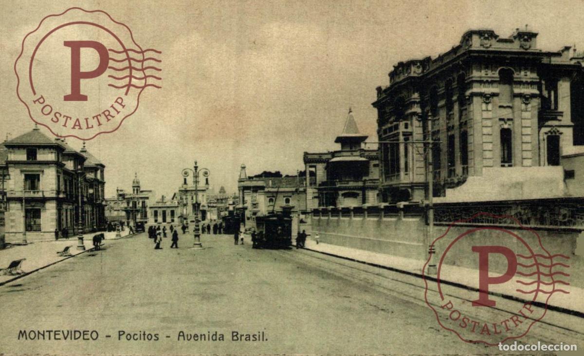 Postales: URUGUAY. POCITOS. AVENIDA BRASIL.