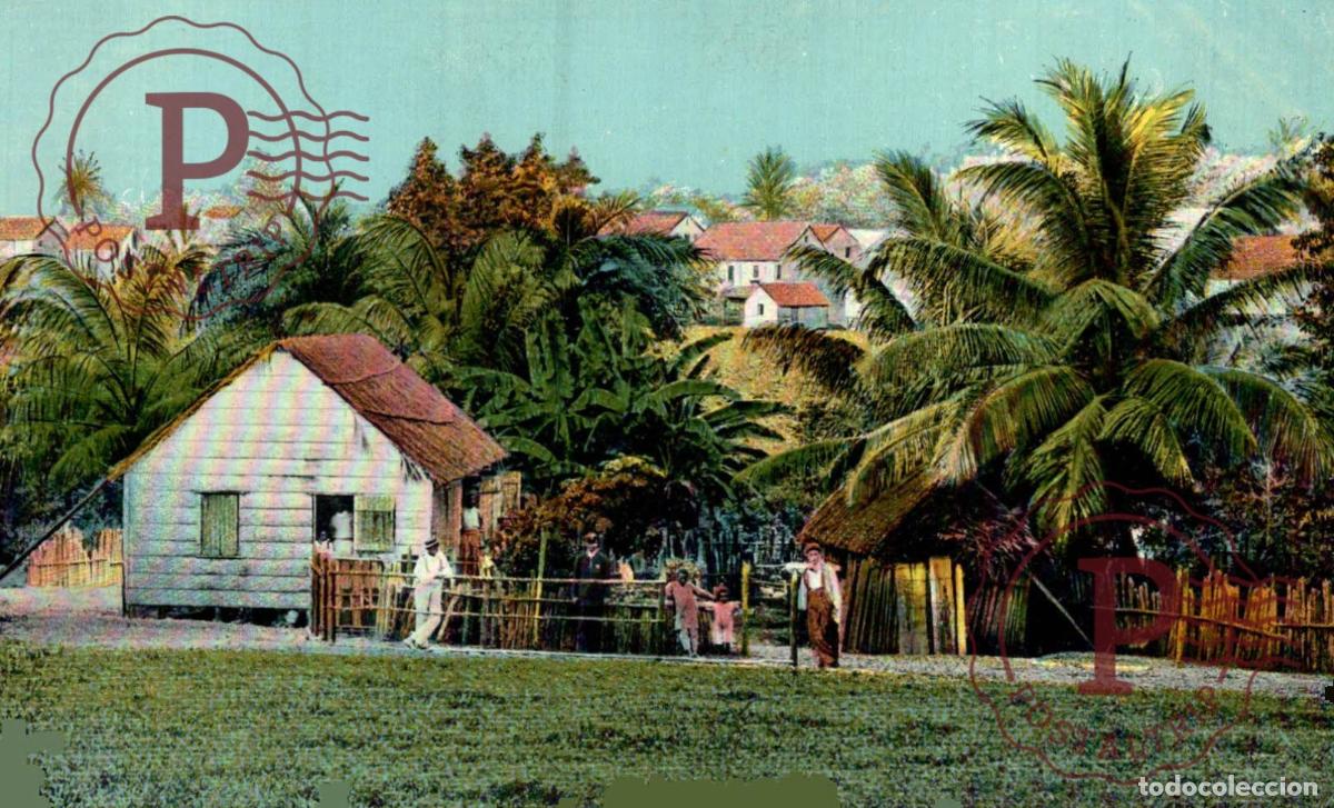 Postales: NICARAGUA. LANDSCHAFT BEI BLUEFILEDS.
