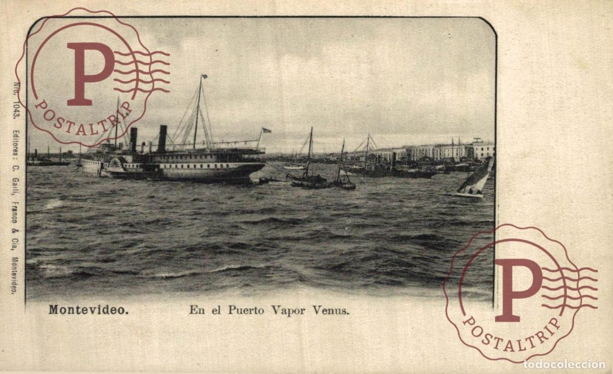 Postales: URUGUAY. MONTEVIDEO. VAPOR VENUS. BARCO. BATEAU. SHIP.