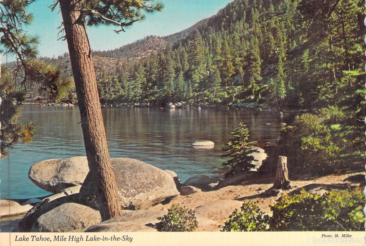 Postales: Postal del Lago Tahoe Nevada Vista de la Naturaleza y Bosque