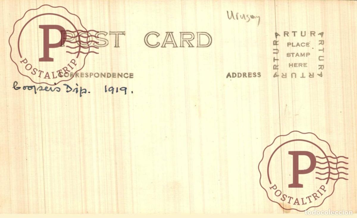 Postales: URUGUAY. PUNTA DEL ESTE. LA ENSENADA. RPPC. FOTOGRAFICA. - Foto 2