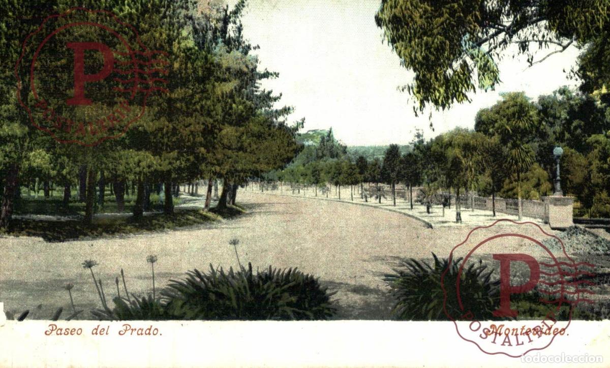 Postales: URUGUAY. MONTEVIDEO. PASEO DEL PRADO.