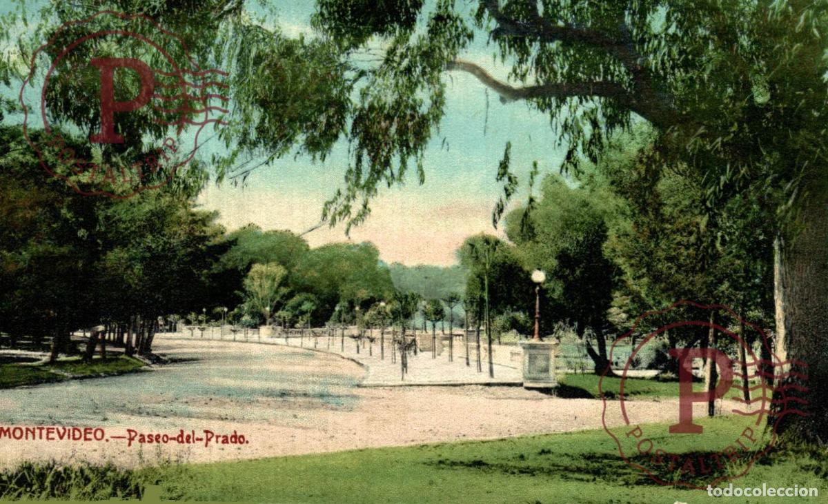 Postales: URUGUAY. MONTEVIDEO. PASEO DEL PRADO.