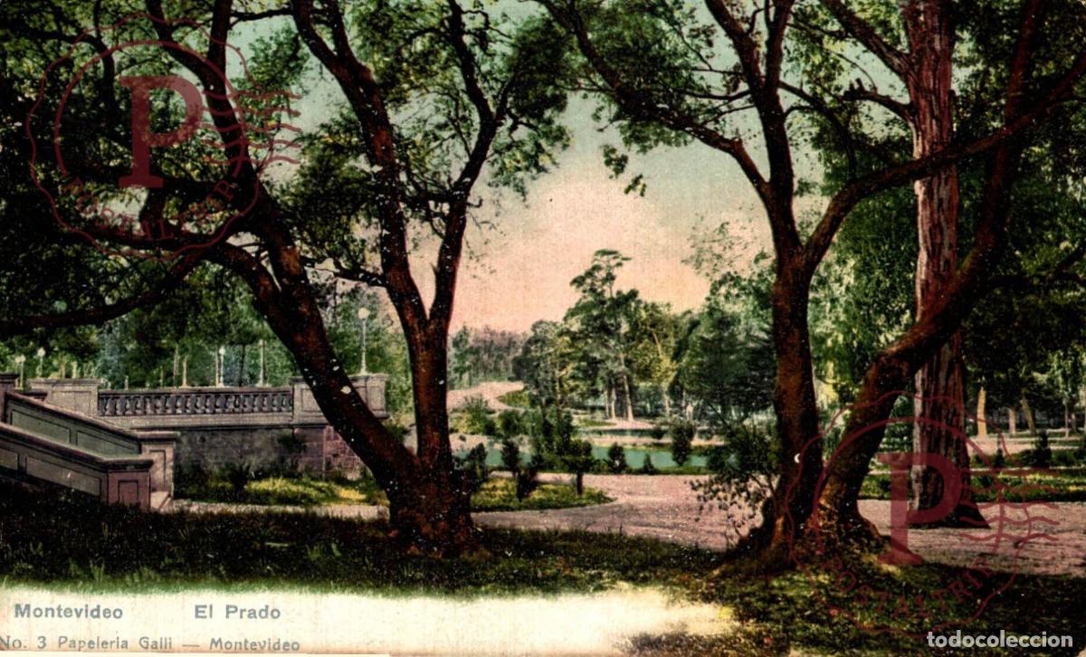 Postales: URUGUAY. MONTEVIDEO. EL PRADO.