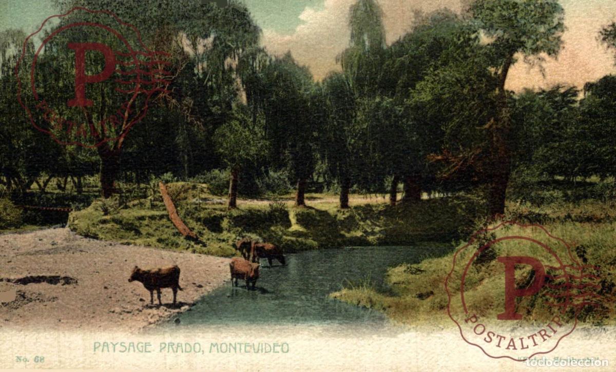 Postales: URUGUAY. MONTEVIDEO. PAYSAGE PRADO.