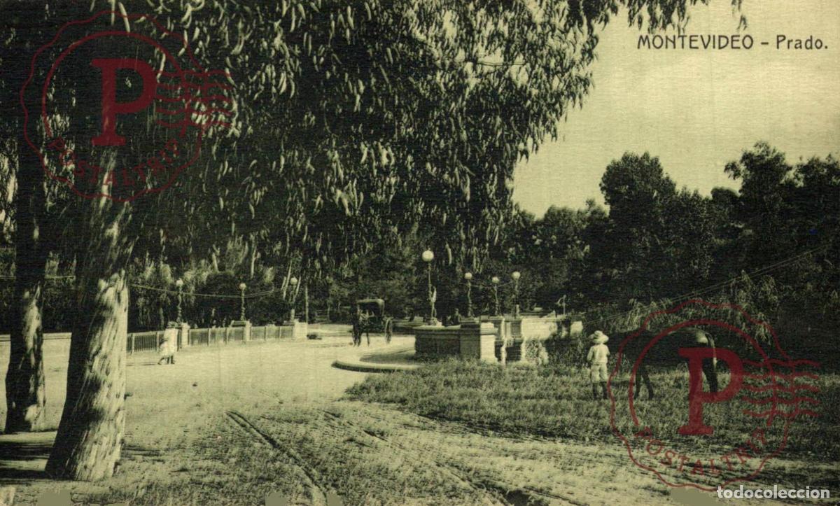 Postales: URUGUAY. MONTEVIDEO. PRADO.