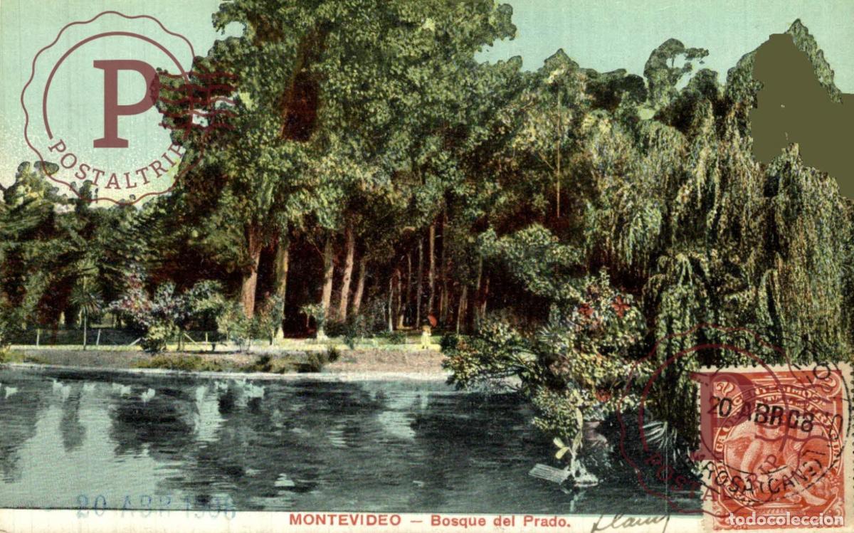 Postales: URUGUAY. MONTEVIDEO. PRADO. BOSQUE.
