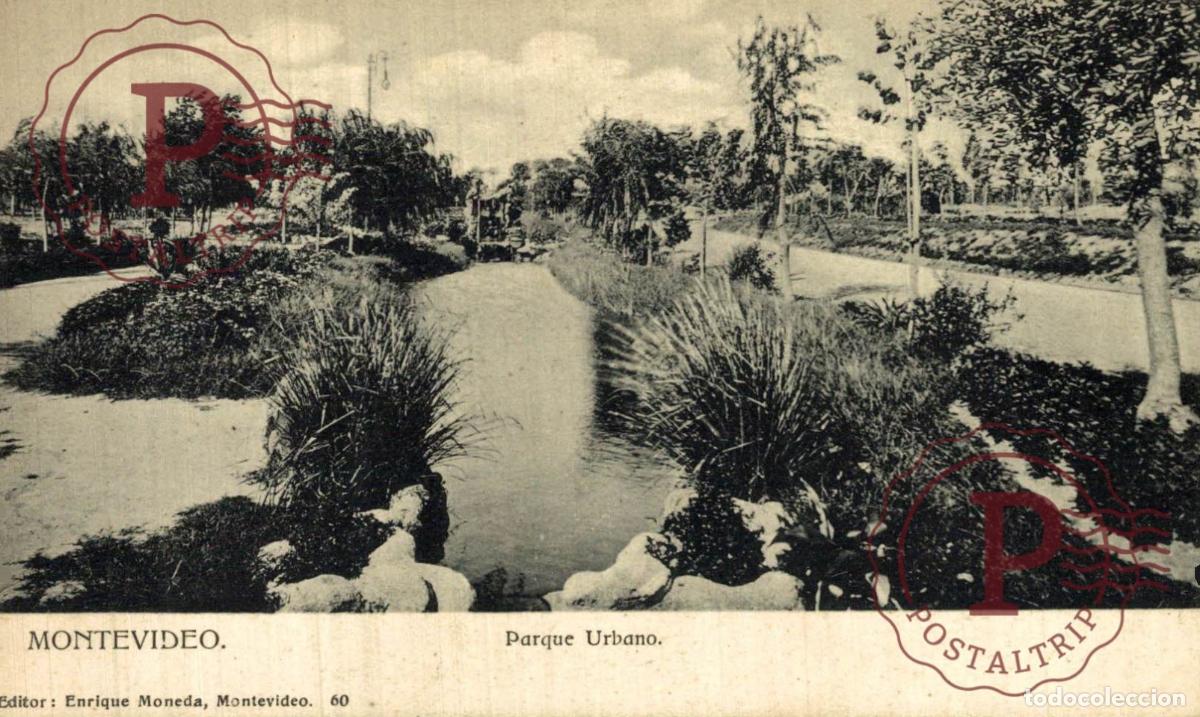 Postales: URUGUAY. MONTEVIDEO. PARQUE URBANO.