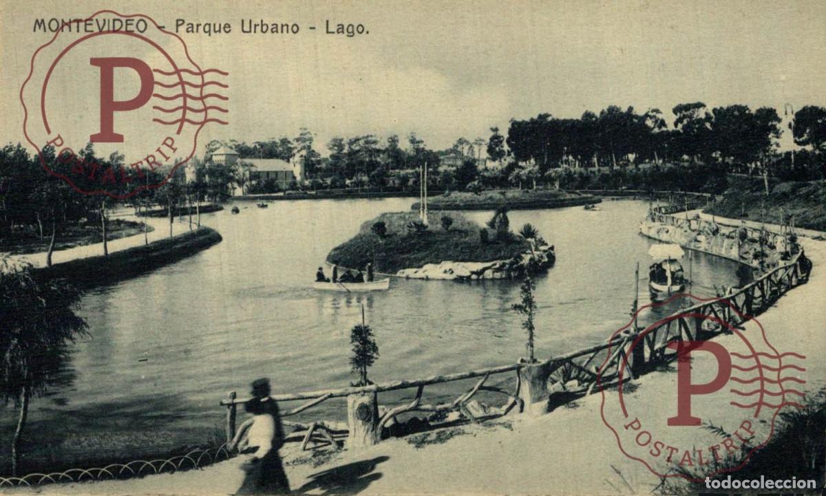 Postales: URUGUAY. MONTEVIDEO. PARQUE URBANO. LAGO.