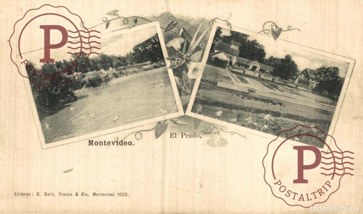 Postales: URUGUAY. MONTEVIDEO. EL PRADO. EDIT C. GALLI, FRANCO & CIA