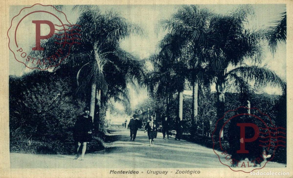 Postales: URUGUAY. MONTEVIDEO. ZOOLOGICO. ZOO.