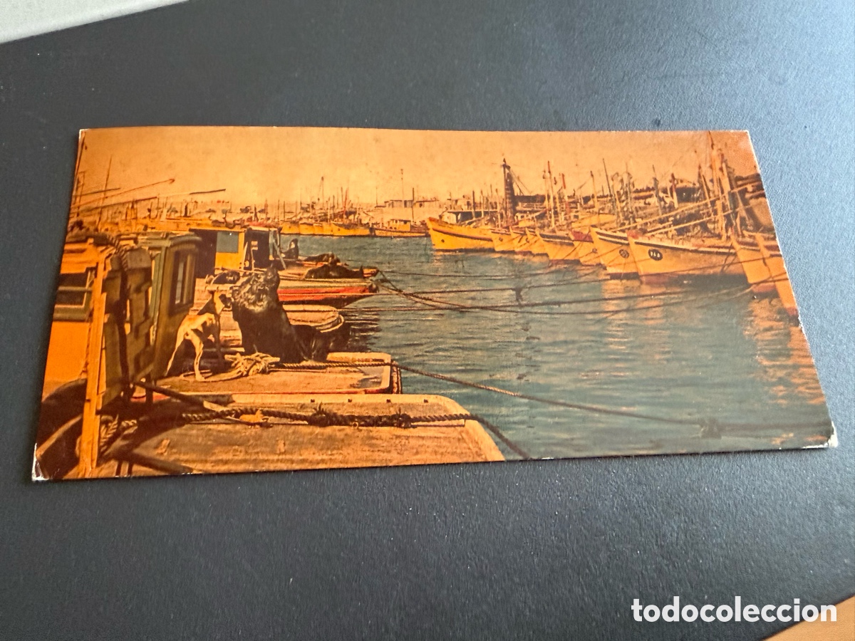 Postales: Postal. MAR DEL PLATA ( Argentina 1967