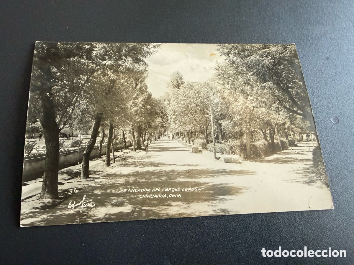 Postales: Postal. CHIHUAHUA ( M&eacute;xico ). Andador del parque Lerdo. 1954