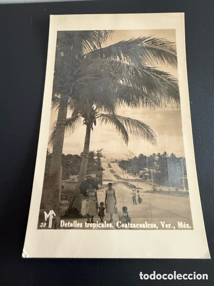 Postales: Postal. Detalles Tropicales. COATZACOALCOS ( M&eacute;xico )1955
