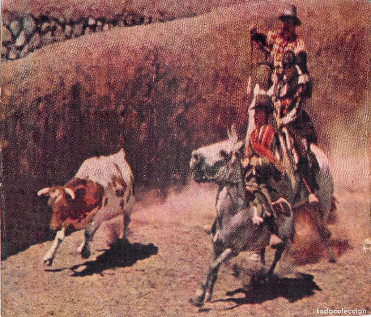 Postales: Postal de Gauchos a Caballo Arreando Ganado en el Campo
