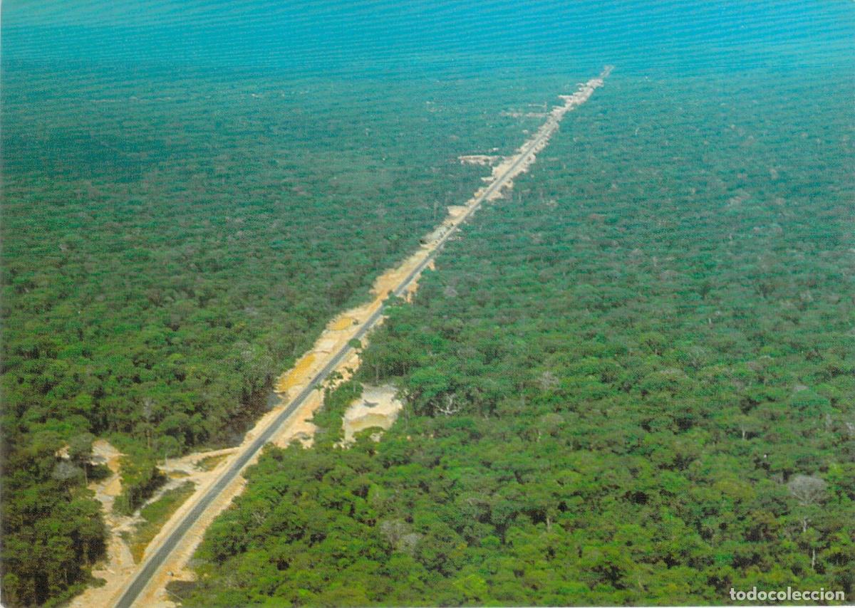 Postales: Postal de la Carretera Transamaz&oacute;nica en la Selva de Brasil