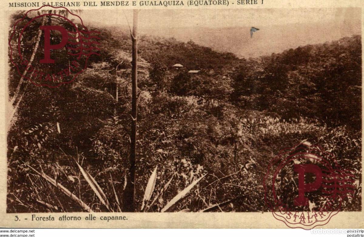 Postales: FORESTA AFFORNO ALLE CAPANNE MISSIONI SALESIANE DEL MENDEZ E GUALAQUIZA EQUATORE