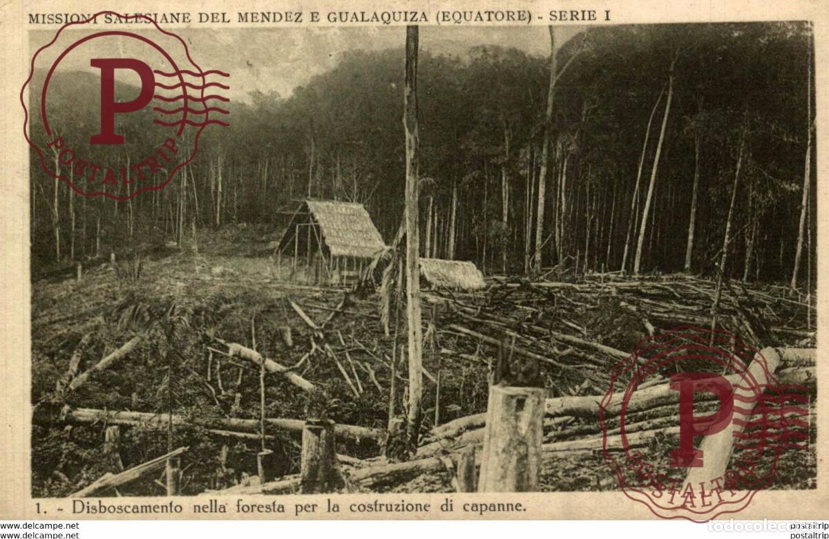 Postales: DISBOSCAMENTO NELLA FORESFA PER LA COSTRUZIONE DE CAPANNE ECUADOR MISSIONI SALESIANE MENDEZ E GUAL