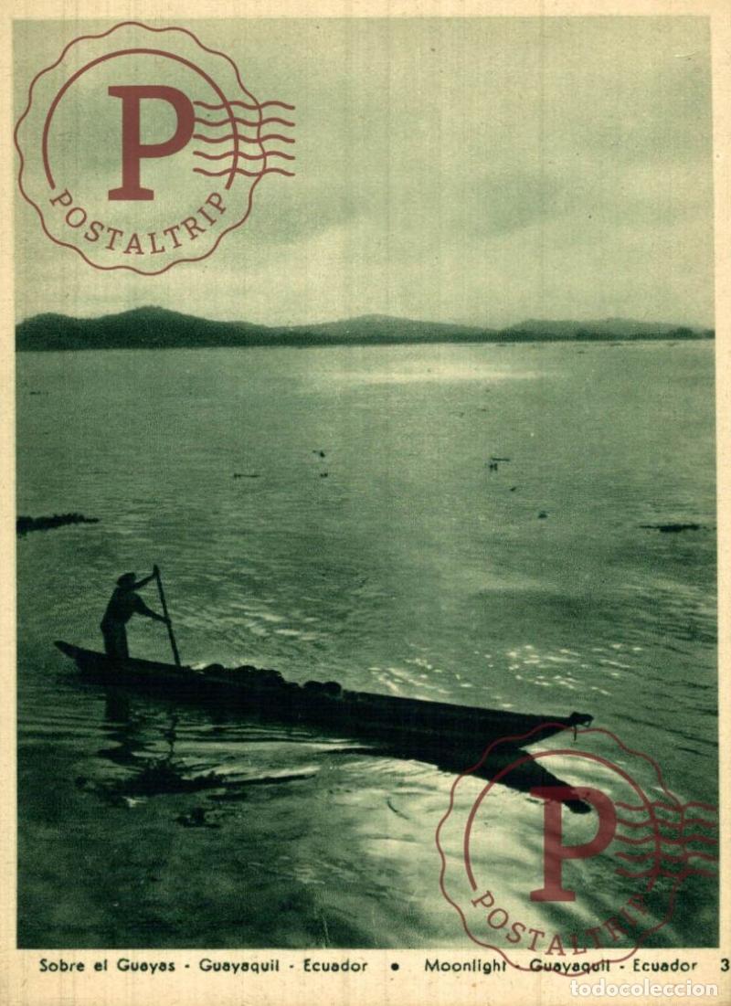 Postales: ECUADOR. GUAYAQUIL SOBRE EL GUAYAS.