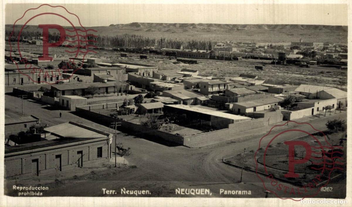 Cartoline: ARGENTINA. NEUQUEN. PANORAMA. RPPC. FOTOGRAFICA