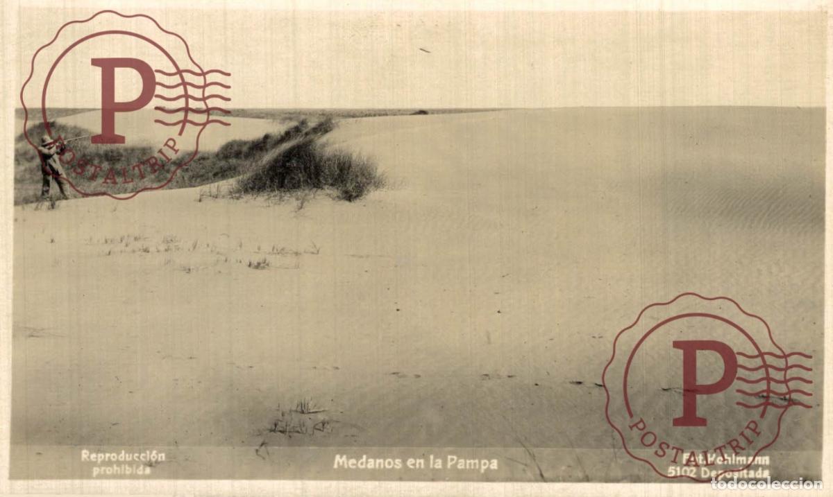 Postcards: ARGENTINA. MEDANOS EN LA PAMPA. CAZADOR HUNTER. RPPC. FOTOGRAFICA. KOHLMANN.