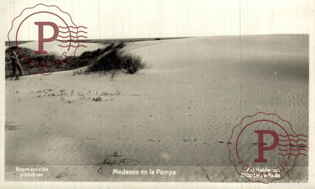 Postcards: ARGENTINA. MEDANOS EN LA PAMPA. CAZADOR HUNTER. RPPC. FOTOGRAFICA. KOHLMANN.