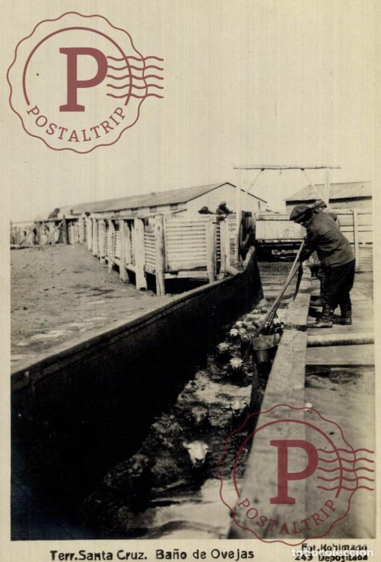 Postales: ARGENTINA. S. Cruz BA&Ntilde;O DE OVEJAS. RPPC. FOTOGRAFICA. KOHLMANN