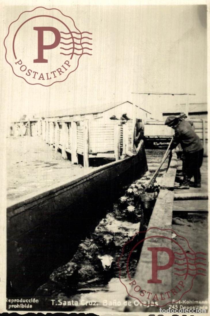 Postales: ARGENTINA. S. Cruz BA&Ntilde;O DE OVEJAS. RPPC. FOTOGRAFICA. KOHLMANN