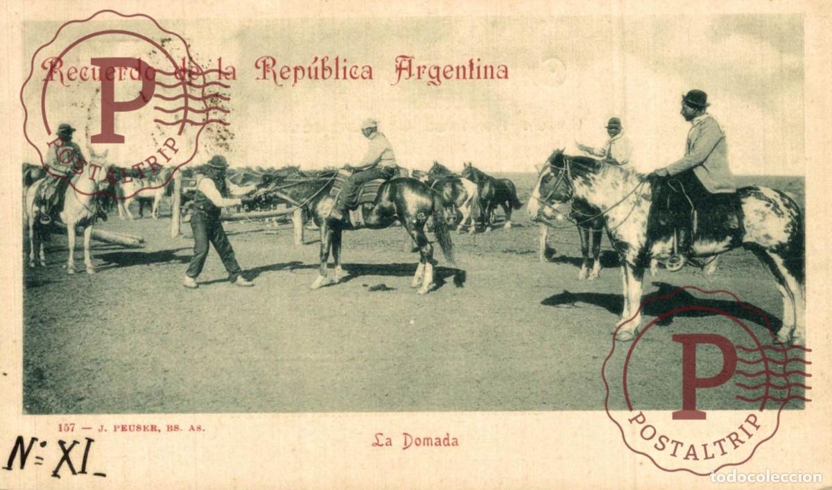 Postales: ARGENTINA. RECUERDO. LA DOMADA
