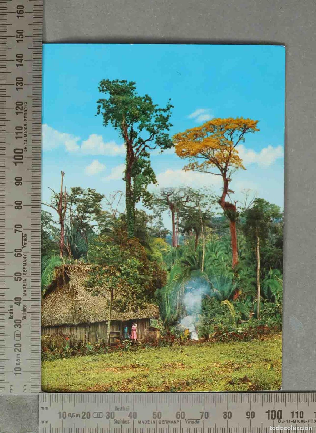 Postales: POSTAL. PAISAJE con rancho TIPICO. GUATEMALA