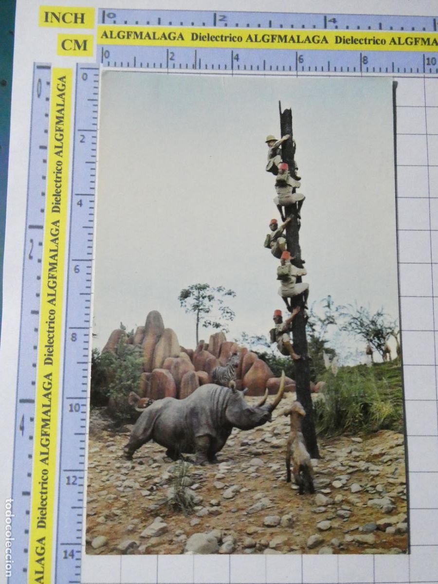 Postales: POSTAL DE ESTADOS UNIDOS. WALT DISNEY WORLD PARQUE ATRACCIONES TRAPPED SAFARI RINOCERONTES. 2595