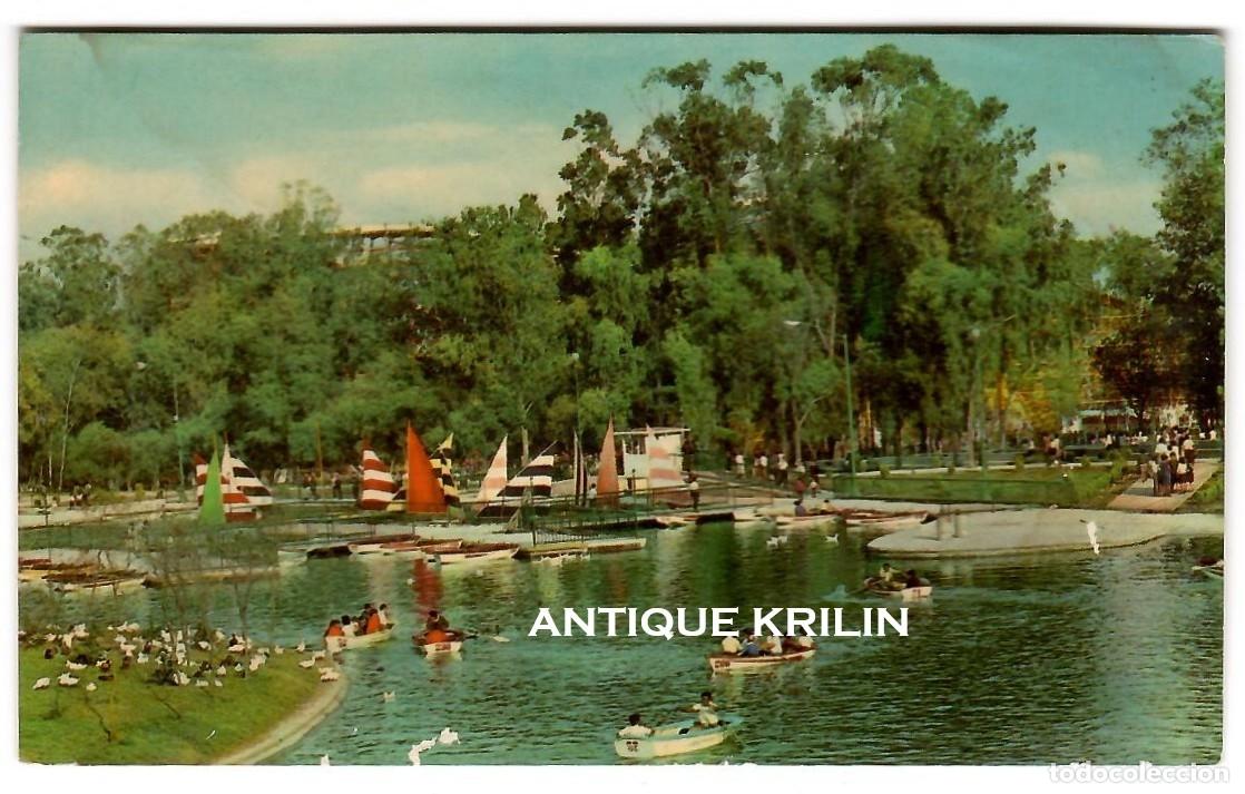 Postales: MEXICO D,F. / LAGO DEL NUEVO BOSQUE DE CHAPULTEPEC / EDITORIAL MEXICO / SIN FRANQUEAR