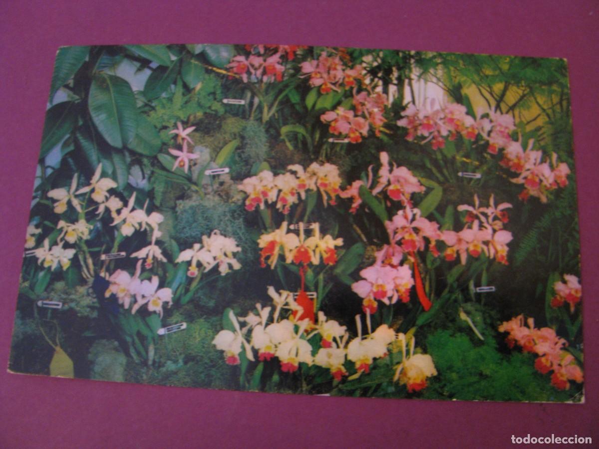 Postales: POSTAL DE COLOMBIA. MEDELLIN. CLUB DE JARDINERIA. CIRCULADA