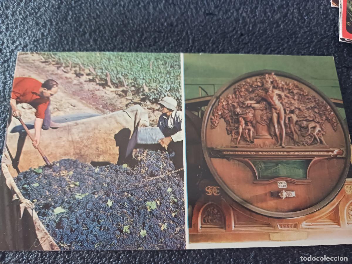 Postkarten: mendoza, escena de la vendimia, tonel en la bodega escorihuela, ed. edicolor