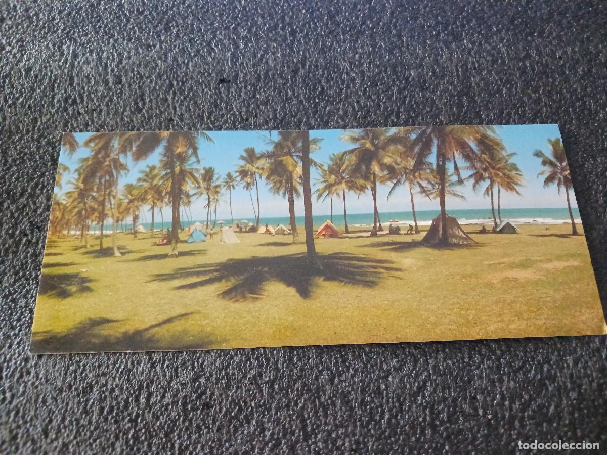 Postales: SALVADOR, BAHIA, BRASIL, VISTAS DEL JARDIN DE ALAH, ED. VARIG