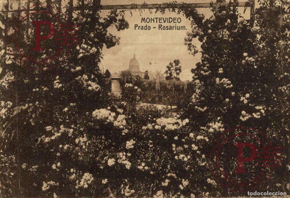 Postales: URUGUAY. MONTEVIDEO. PRADO. ROSARIUM. - Foto 1