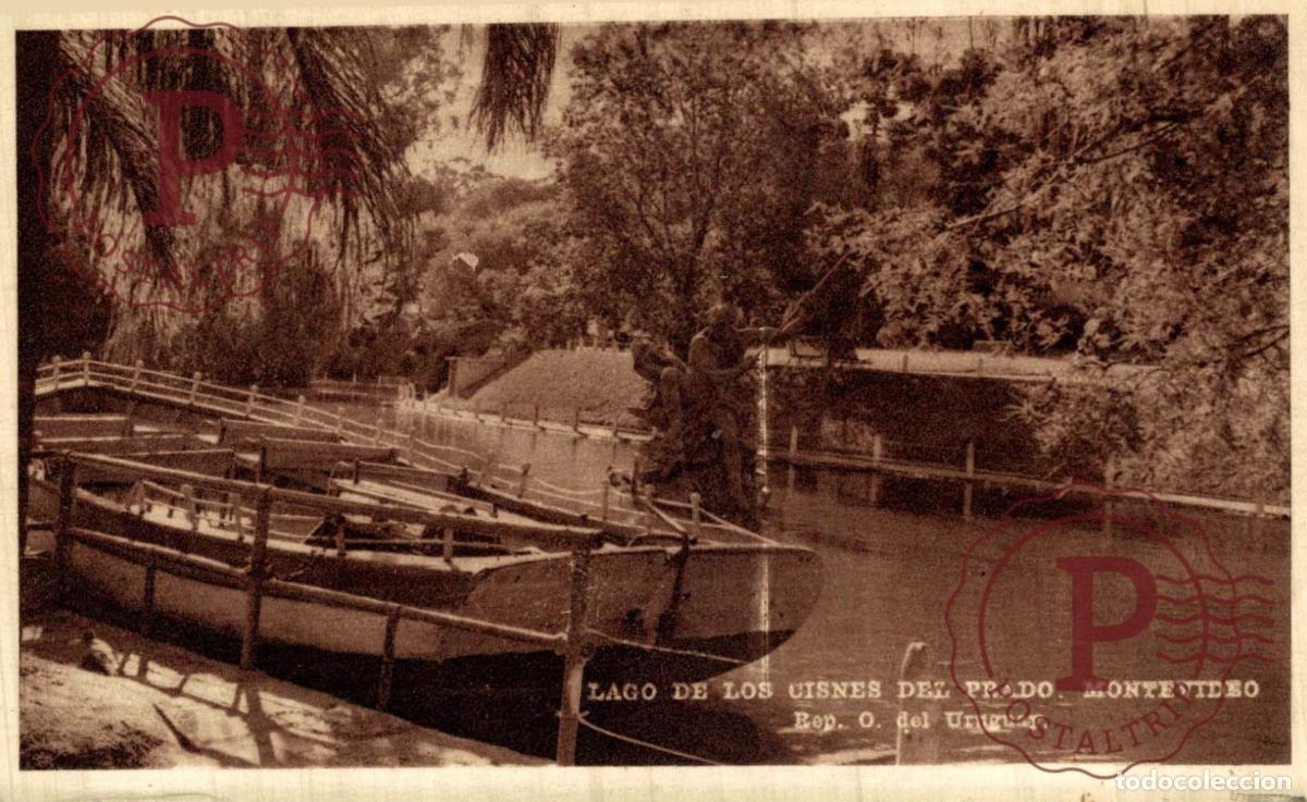 Postales: URUGUAY. MONTEVIDEO. LAGO DE LOS CISNES DEL PRADO.