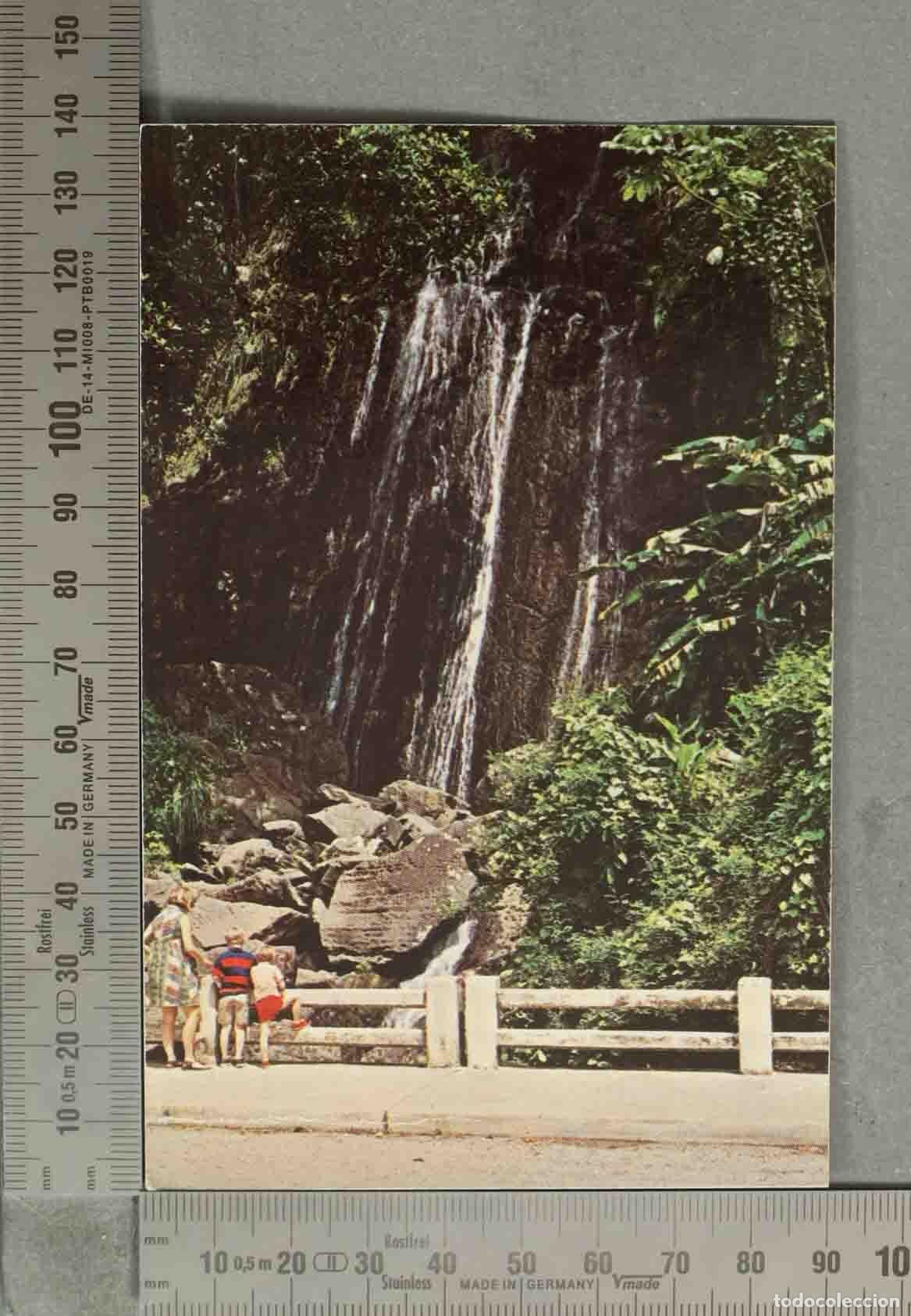 Postales: POSTAL. El Yunque - Catarata La Coca - Puerto Rico