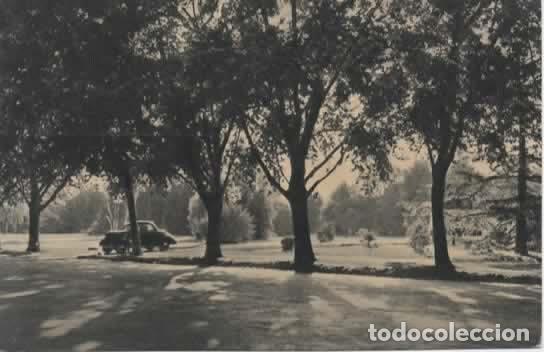 Postales: ARGENTINA SIN ESCRIBIR BUENOS AIRES BOSQUE DE PALERMO