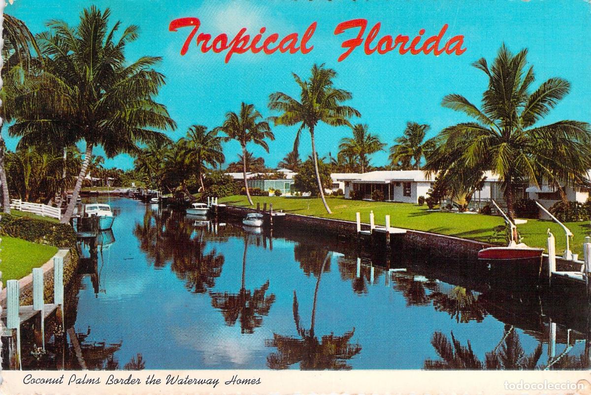 Postales: Postal de Florida Tropical: Casas en Canal y Palmeras de Coco